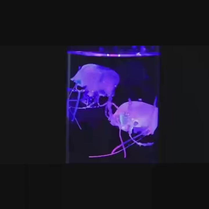 OceanGlow™ Jellyfish Lamp
